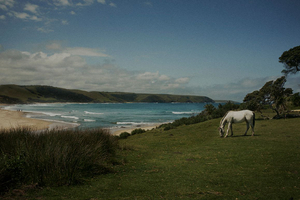 XhosaLandscape_010.jpg