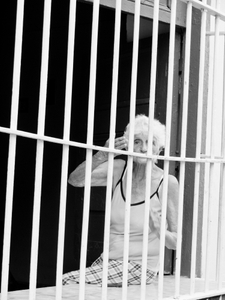 Old Woman Cuba
