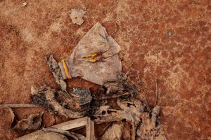 Footprints Nº21