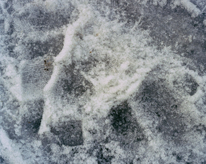 Icelandic Surfaces #22