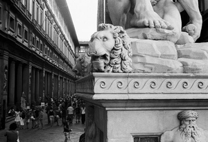 Florence 2009