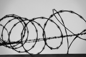 Calligraphy, Razor Wire