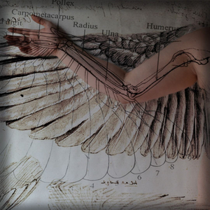 Desired Schematic © Amber Hall