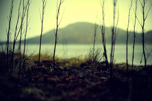 Isle Of Skye #165