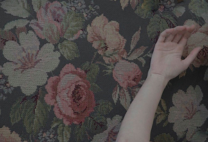 my rose garden © Cristina Coral