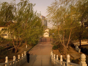 From the series "Silent World" © Lucie & Simon