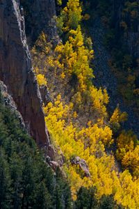Sandia Mountain Wilderness, NM