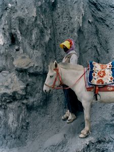 Stone horse