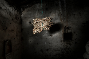 hanging seed