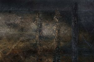 Rust 7