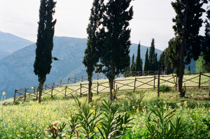 fig.4 Delphi.Landscape