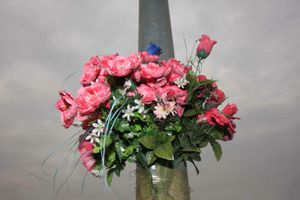 Fiori recisi