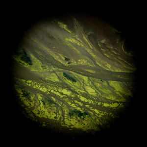 New Worlds 6