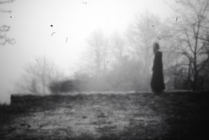 solitude