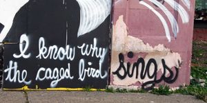 Maya Angelou’s 1969 autobiography title, I Know Why the Caged Bird Sings can be found along the bottom of an abandoned building just a block from the freeway. © Nicholas Gregory