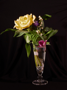 Rose et muhuet
