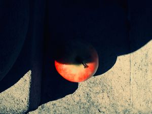 Apple Of My Eye