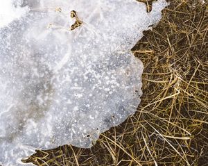 Icelandic Surfaces #2