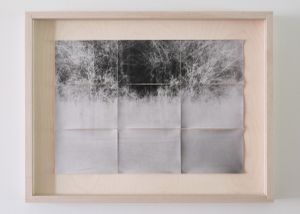 Pinhole Studies [riverscapes 009] © Meghan Duda 2014