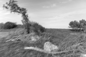 Tornade 2