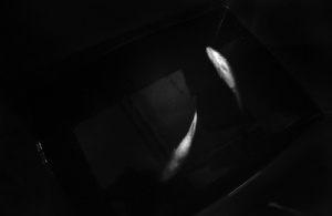 Anxiety of living #2