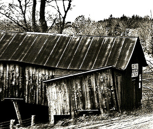 Discarded Shack- Delaware County,NY