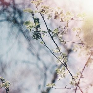 Matter, Air & Light