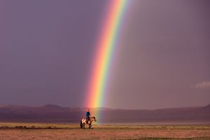 Serendipity