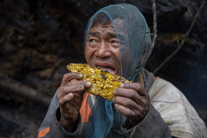 SWEET GOLD - The honey hunters of Nepal