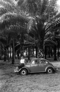 Women with Beetles