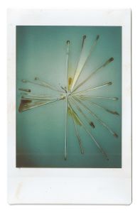 Teal Burst