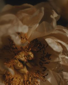 Fading