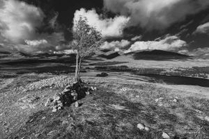 Bridge of Orchy, Scotland | 32
