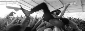 Foals