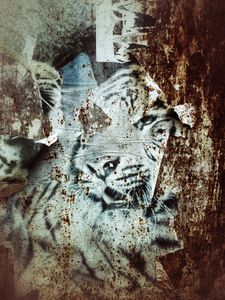 CORROSION