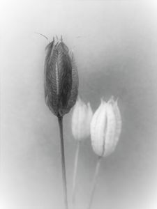 ohne Titel