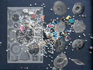 OIL-A History Of/Microplastic 01