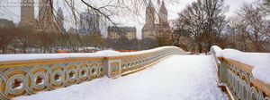 <a href="https://andrewprokos.com/photos/new-york/central-park/">Panoramic View of Bow Bridge in Winter, Central Park</a>