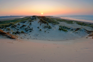 Dunelands I