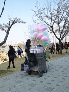 Cotton Candy Seller
