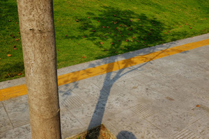 Untitled9