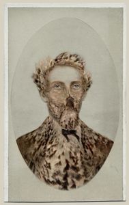 Aviary