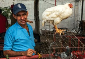 Havana, 2011