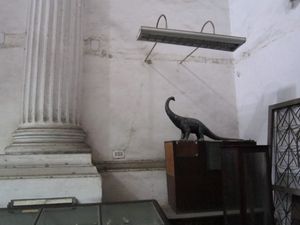 Museum  Kolkata