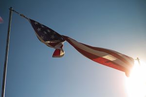 Pledge Allegiance 5