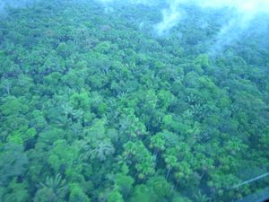 "Amazonas"