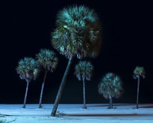 From the project, Wide Eyed © Jon Horvath
