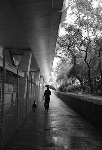 In the Rain