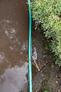 Flooded Yard garden Hose