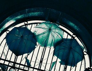 Umbrella Sky Project 31